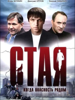 Стая