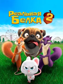 Реальная белка 2